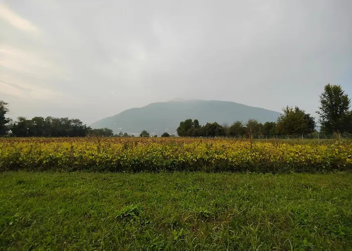 La Verde Dimora